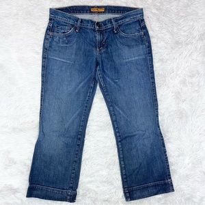 JAMES CURED by SEUN Low Rise Wide Leg Blue Denim Capri 30